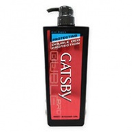 Gatsby Shower Gel - Antiseptic Protecting Double Deo Protection 600ml